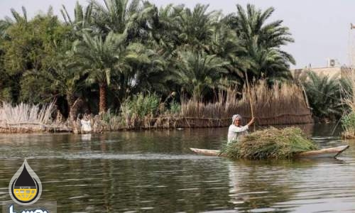 توقف احداث یک طرح پتروشیمی در تالاب شادگان